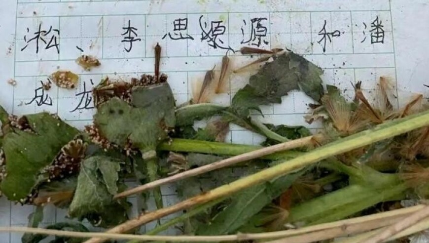 2025香港最快开奖结果,金靖对林一说人不塌就行了,整体规划执行讲解_AR版V12.57